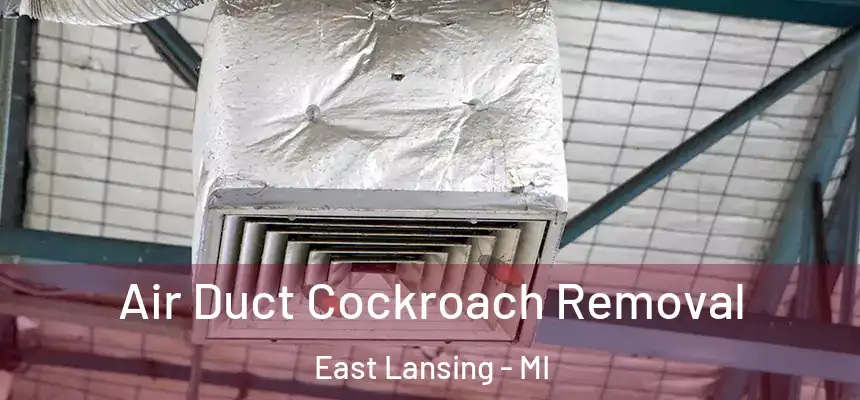 Air Duct Cockroach Removal East Lansing - MI