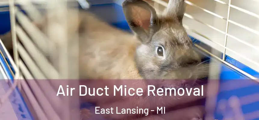  Air Duct Mice Removal East Lansing - MI