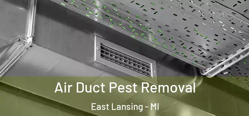 Air Duct Pest Removal East Lansing - MI
