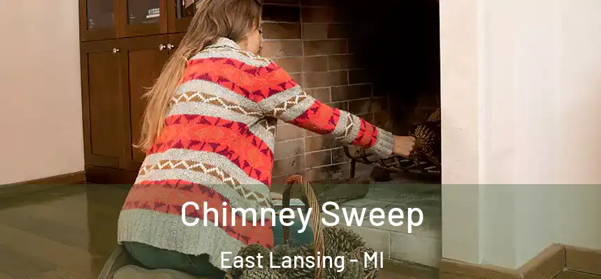  Chimney Sweep East Lansing - MI