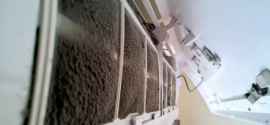 Preventive Air Duct Bacteria Removal in East Lansing