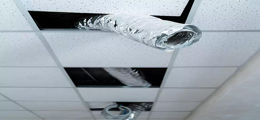 Our Air Duct Pet Hair Removal Services in East Lansing, MI