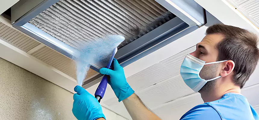 Proactive Dryer Vent & Auxiliary Duct Pollen Cleanup in East Lansing, MI