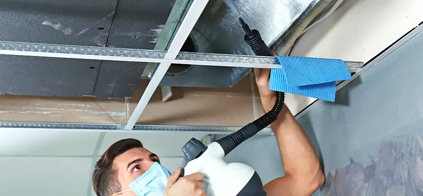 Our Air Duct Rodent Removal Services in East Lansing, MI