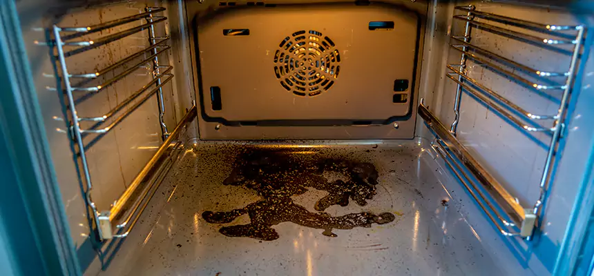 Our Dryer Vent Mold Cleaning Services in East Lansing, MI