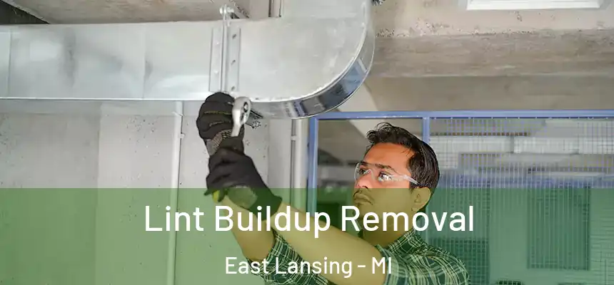 Lint Buildup Removal East Lansing - MI