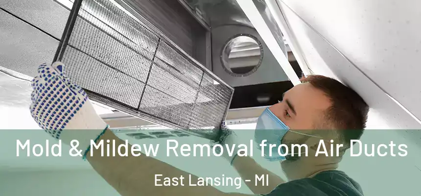 Mold & Mildew Removal from Air Ducts East Lansing - MI