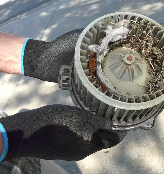 About Air Duct Rat Removal in East Lansing, MI