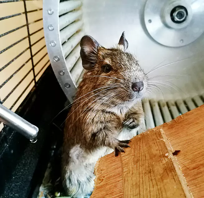 Why Homeowners & Businesses Trust Us East Lansing, MI?