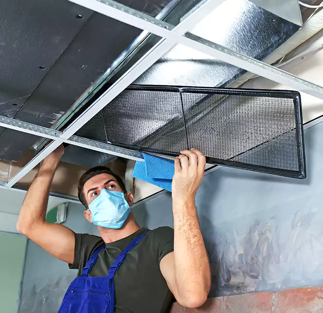 Why Homeowners Businesses Trust Us in East Lansing, MI