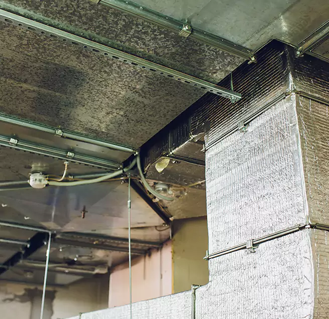 Why Homeowners & Businesses Trust Us in East Lansing, MI?